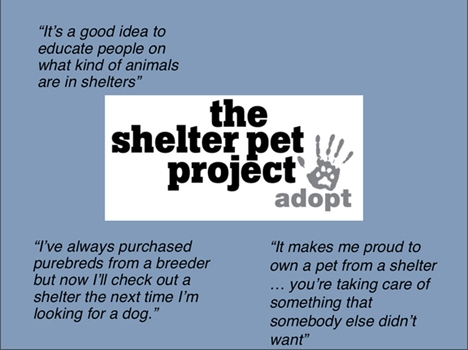 The Shelter Pet Project